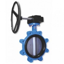 Cast iron lugged butterfly valve